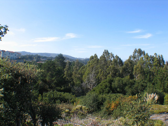 0 El Capitan Drive, MILLBRAE, California 94030, ,Lots And Land,For Sale,El Capitan Drive,40966455