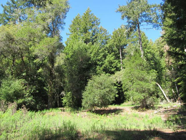 0 Robin Hood Lane, SAN LORENZO, California 95006, ,Lots And Land,For Sale,Robin Hood Lane,40966449