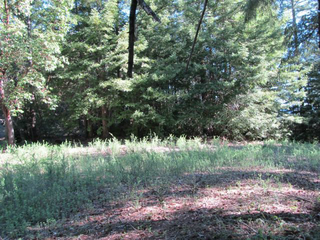 0 Robin Hood Lane, SAN LORENZO, California 95006, ,Lots And Land,For Sale,Robin Hood Lane,40966449