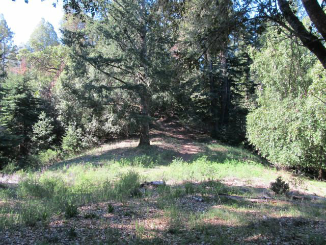 0 Robin Hood Lane, SAN LORENZO, California 95006, ,Lots And Land,For Sale,Robin Hood Lane,40966449