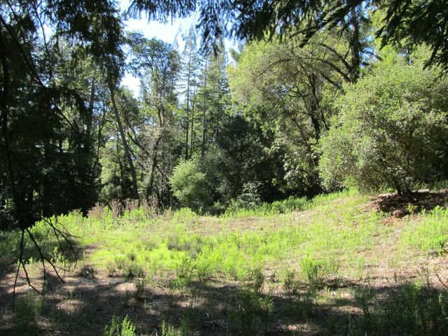 0 Robin Hood Lane, SAN LORENZO, California 95006, ,Lots And Land,For Sale,Robin Hood Lane,40966449