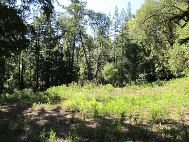0 Robin Hood Lane, SAN LORENZO, California 95006, ,Lots And Land,For Sale,Robin Hood Lane,40966449