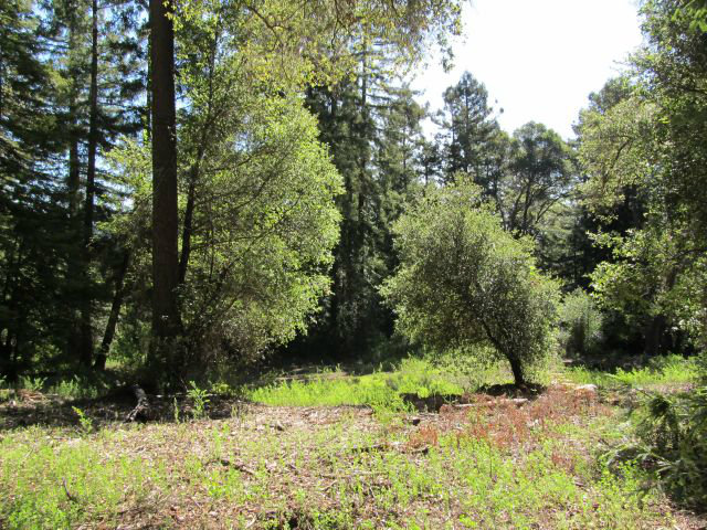 0 Robin Hood Lane, SAN LORENZO, California 95006, ,Lots And Land,For Sale,Robin Hood Lane,40966449