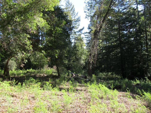 0 Robin Hood Lane, SAN LORENZO, California 95006, ,Lots And Land,For Sale,Robin Hood Lane,40966449