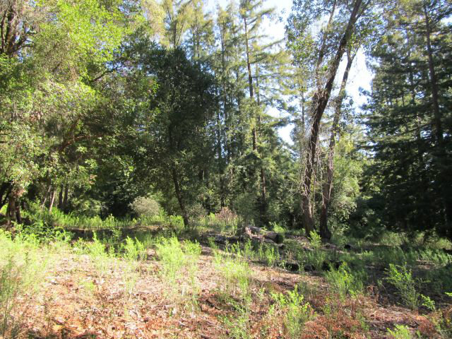 0 Robin Hood Lane, SAN LORENZO, California 95006, ,Lots And Land,For Sale,Robin Hood Lane,40966449
