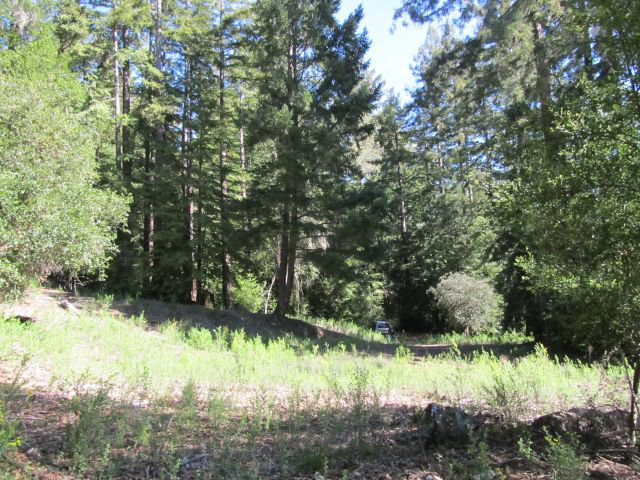 0 Robin Hood Lane, SAN LORENZO, California 95006, ,Lots And Land,For Sale,Robin Hood Lane,40966449