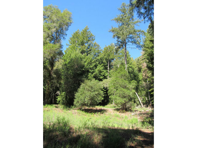 0 Robin Hood Lane, SAN LORENZO, California 95006, ,Lots And Land,For Sale,Robin Hood Lane,40966449