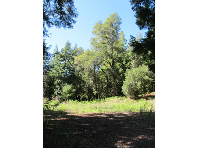 0 Robin Hood Lane, SAN LORENZO, California 95006, ,Lots And Land,For Sale,Robin Hood Lane,40966449