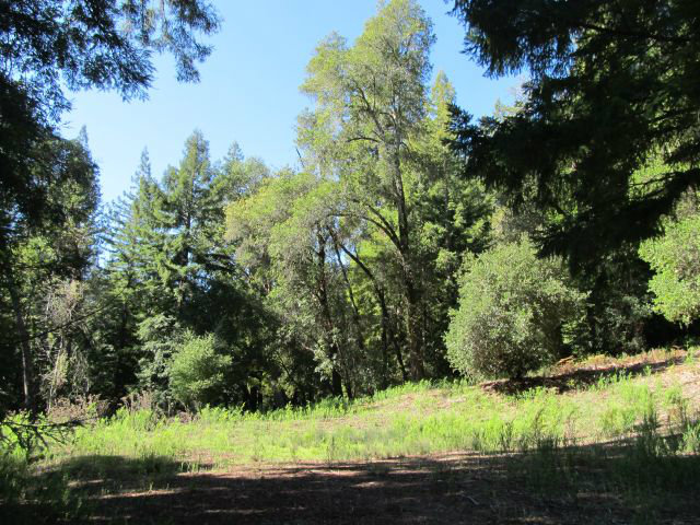 0 Robin Hood Lane, SAN LORENZO, California 95006, ,Lots And Land,For Sale,Robin Hood Lane,40966449