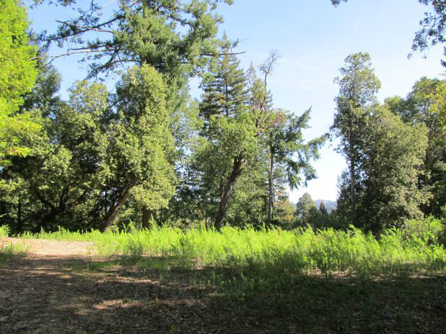 0 Robin Hood Lane, SAN LORENZO, California 95006, ,Lots And Land,For Sale,Robin Hood Lane,40966449