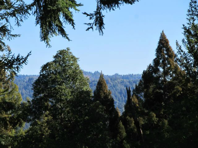 0 Robin Hood Lane, SAN LORENZO, California 95006, ,Lots And Land,For Sale,Robin Hood Lane,40966449