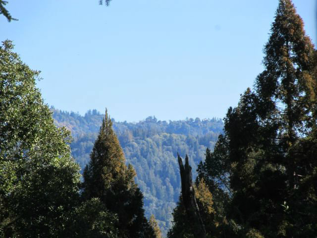 0 Robin Hood Lane, SAN LORENZO, California 95006, ,Lots And Land,For Sale,Robin Hood Lane,40966449