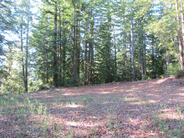 0 Robin Hood Lane, SAN LORENZO, California 95006, ,Lots And Land,For Sale,Robin Hood Lane,40966449