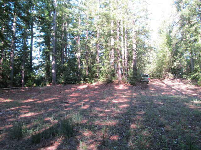 0 Robin Hood Lane, SAN LORENZO, California 95006, ,Lots And Land,For Sale,Robin Hood Lane,40966449