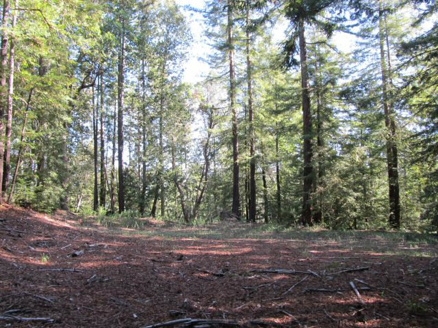 0 Robin Hood Lane, SAN LORENZO, California 95006, ,Lots And Land,For Sale,Robin Hood Lane,40966449