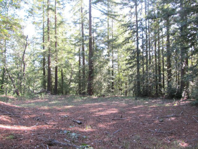 0 Robin Hood Lane, SAN LORENZO, California 95006, ,Lots And Land,For Sale,Robin Hood Lane,40966449