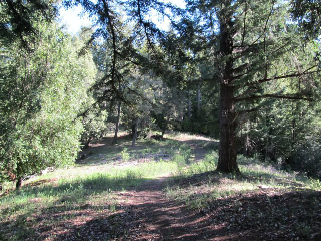 0 Robin Hood Lane, SAN LORENZO, California 95006, ,Lots And Land,For Sale,Robin Hood Lane,40966449