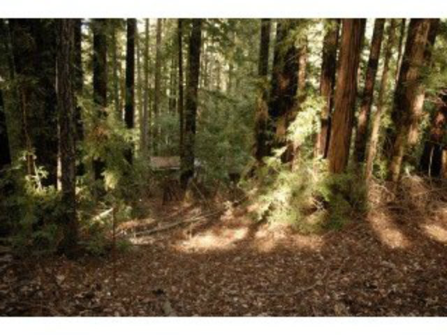 445 LAUREL VIEW Road, LOS GATOS, California 95033, ,Lots And Land,For Sale,LAUREL VIEW Road,40966503