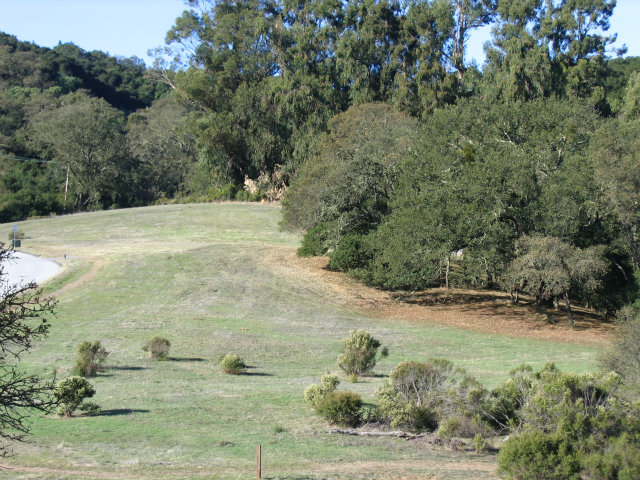 9 BUCK MEADOW Drive, PORTOLA VALLEY, California 94028, ,Lots And Land,For Sale,BUCK MEADOW Drive,40966446