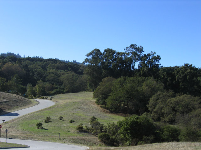 9 BUCK MEADOW Drive, PORTOLA VALLEY, California 94028, ,Lots And Land,For Sale,BUCK MEADOW Drive,40966446