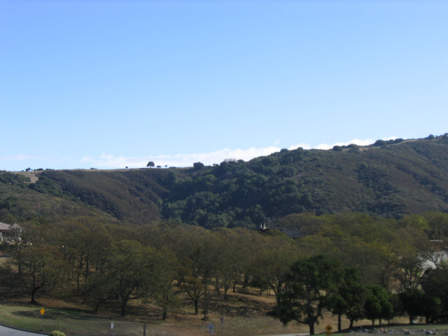 9 BUCK MEADOW Drive, PORTOLA VALLEY, California 94028, ,Lots And Land,For Sale,BUCK MEADOW Drive,40966446