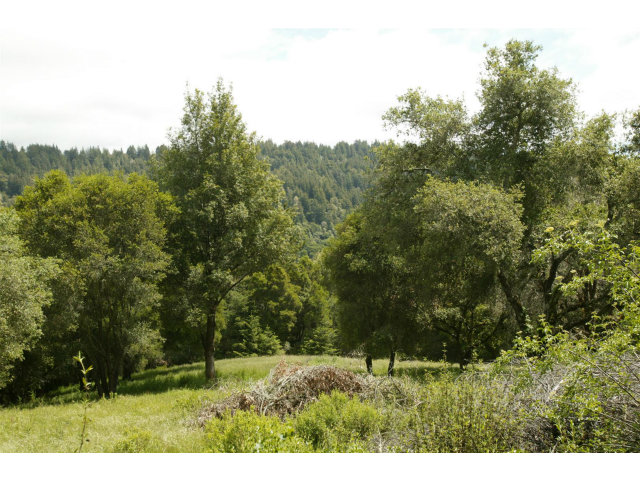 0 SUNDANCE HILL Road, SOQUEL, California 95073, ,Lots And Land,For Sale,SUNDANCE HILL Road,40966472