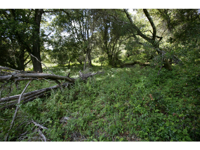 0 SUNDANCE HILL Road, SOQUEL, California 95073, ,Lots And Land,For Sale,SUNDANCE HILL Road,40966472