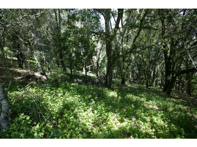 0 SUNDANCE HILL Road, SOQUEL, California 95073, ,Lots And Land,For Sale,SUNDANCE HILL Road,40966472