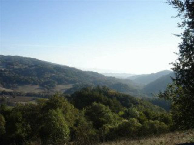 0 REDWOOD RETREAT, GILROY, California 95020, ,Lots And Land,For Sale,REDWOOD RETREAT,40966444