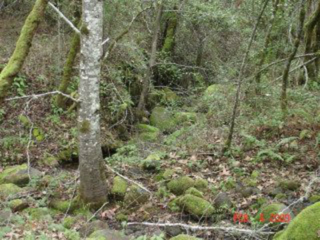 0 REDWOOD RETREAT, GILROY, California 95020, ,Lots And Land,For Sale,REDWOOD RETREAT,40966444