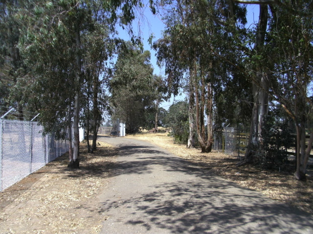 18763 CLEMENTS Road, LODI, California 95240, ,Lots And Land,For Sale,CLEMENTS Road,40966453