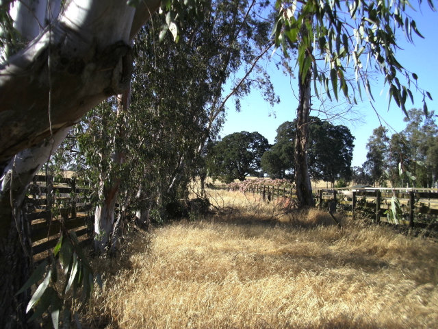 18763 CLEMENTS Road, LODI, California 95240, ,Lots And Land,For Sale,CLEMENTS Road,40966453