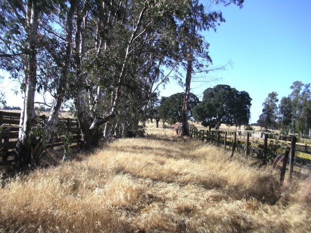 18763 CLEMENTS Road, LODI, California 95240, ,Lots And Land,For Sale,CLEMENTS Road,40966453