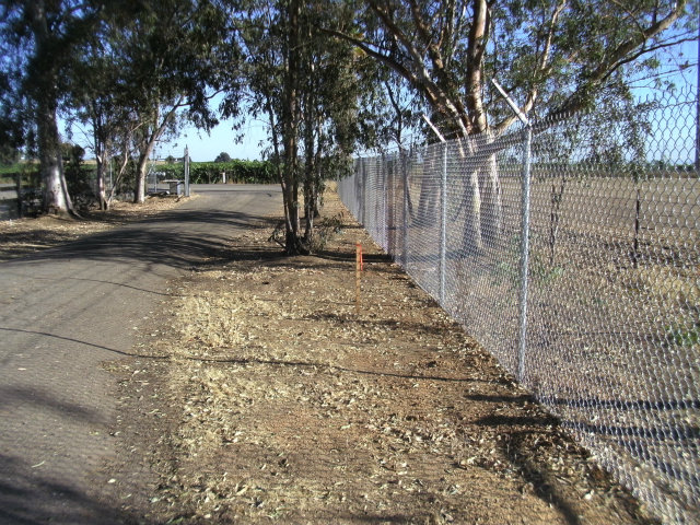 18763 CLEMENTS Road, LODI, California 95240, ,Lots And Land,For Sale,CLEMENTS Road,40966453