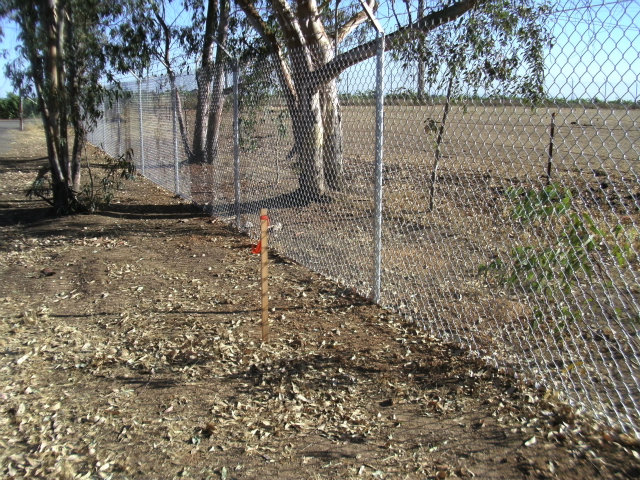 18763 CLEMENTS Road, LODI, California 95240, ,Lots And Land,For Sale,CLEMENTS Road,40966453
