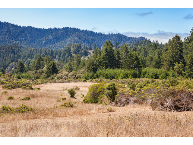 0 Burns Valley Road, LOMA MAR, California 94021, ,Lots And Land,For Sale,Burns Valley Road,40966438