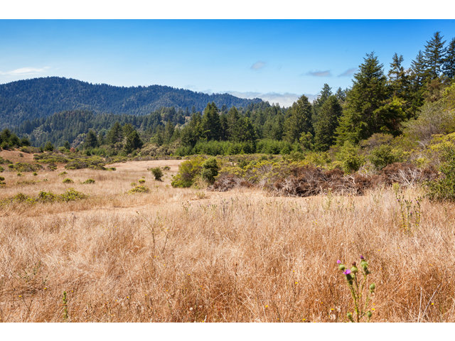0 Burns Valley Road, LOMA MAR, California 94021, ,Lots And Land,For Sale,Burns Valley Road,40966438