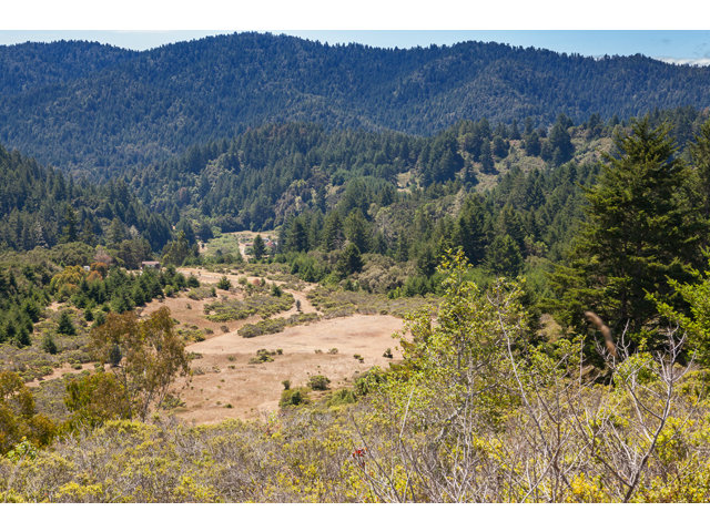 0 Burns Valley Road, LOMA MAR, California 94021, ,Lots And Land,For Sale,Burns Valley Road,40966438