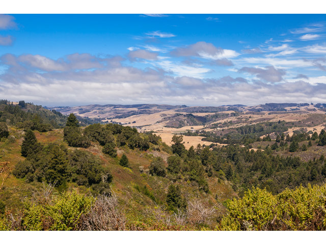 0 Burns Valley Road, LOMA MAR, California 94021, ,Lots And Land,For Sale,Burns Valley Road,40966438