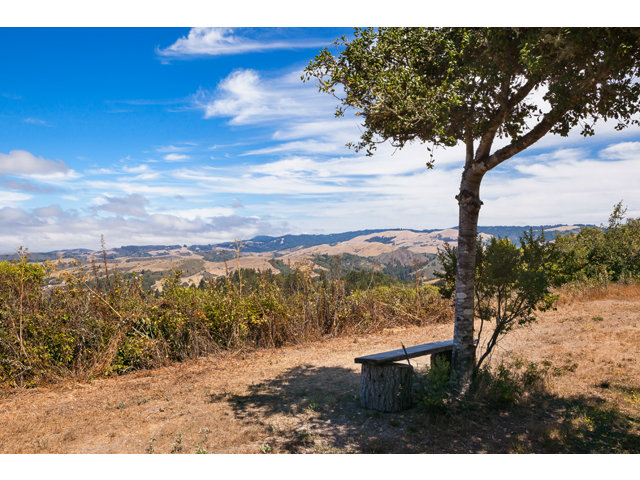 0 Burns Valley Road, LOMA MAR, California 94021, ,Lots And Land,For Sale,Burns Valley Road,40966438