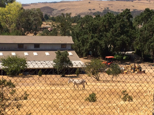 22090 MCKEAN Road, SAN JOSE, California 95120, ,Lots And Land,For Sale,MCKEAN Road,40966434