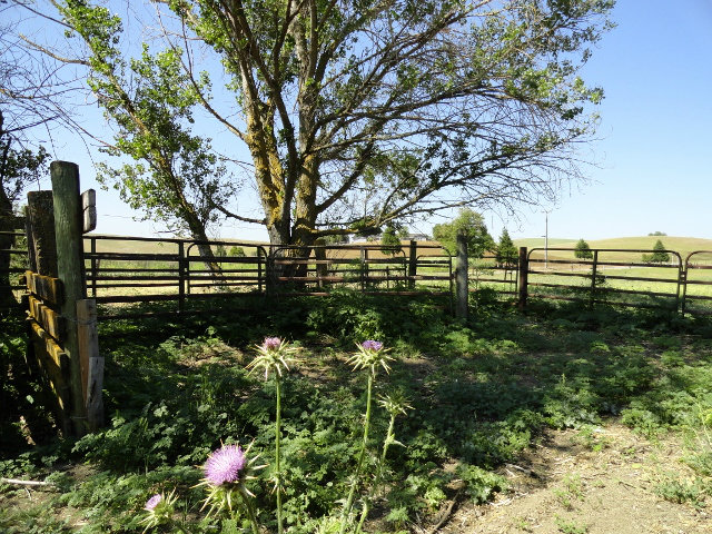 0 JOHN SMITH Road, HOLLISTER, California 95023, ,Lots And Land,For Sale,JOHN SMITH Road,40966433
