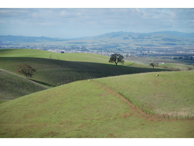 0 JOHN SMITH Road, HOLLISTER, California 95023, ,Lots And Land,For Sale,JOHN SMITH Road,40966433