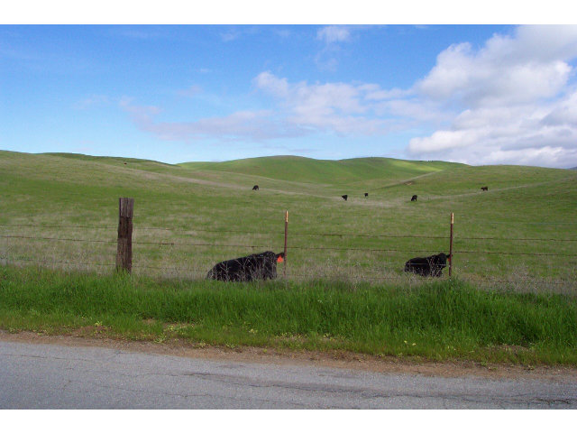 0 JOHN SMITH Road, HOLLISTER, California 95023, ,Lots And Land,For Sale,JOHN SMITH Road,40966433