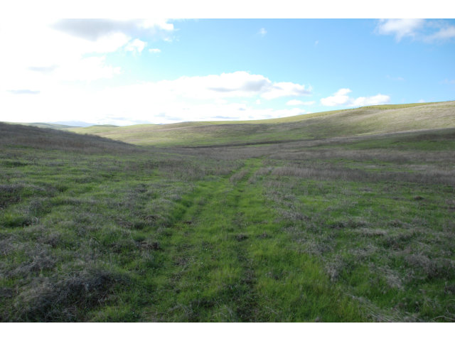 0 JOHN SMITH Road, HOLLISTER, California 95023, ,Lots And Land,For Sale,JOHN SMITH Road,40966433