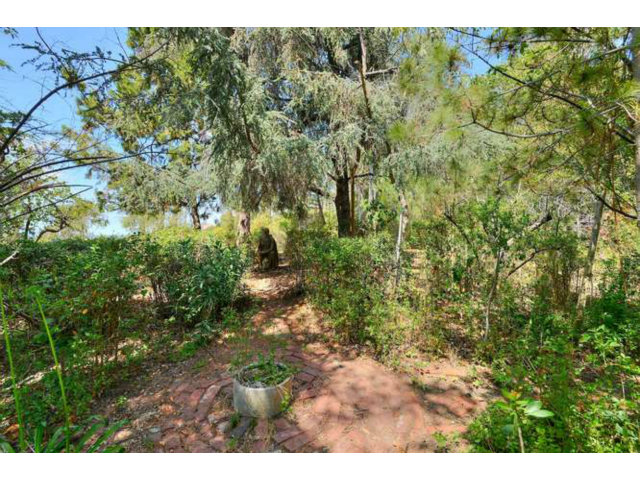 537 MORRISON CANYON Road, FREMONT, California 94536, ,Lots And Land,For Sale,MORRISON CANYON Road,40966443