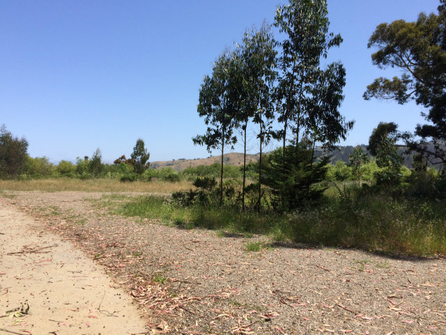 0 San Pedro Terrace Road, PACIFICA, California 94044, ,Comm Lots And Land,For Sale,San Pedro Terrace Road,40962672