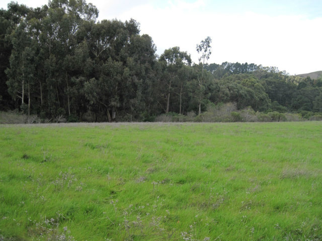 0 Clark Road, RICHMOND, California 94802, ,Lots And Land,For Sale,Clark Road,40966439