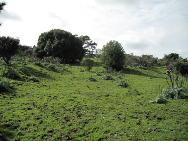 0 Clark Road, RICHMOND, California 94802, ,Lots And Land,For Sale,Clark Road,40966439