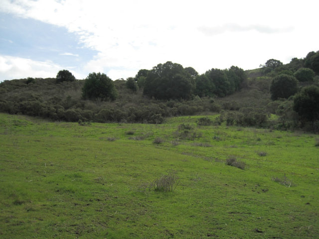 0 Clark Road, RICHMOND, California 94802, ,Lots And Land,For Sale,Clark Road,40966439